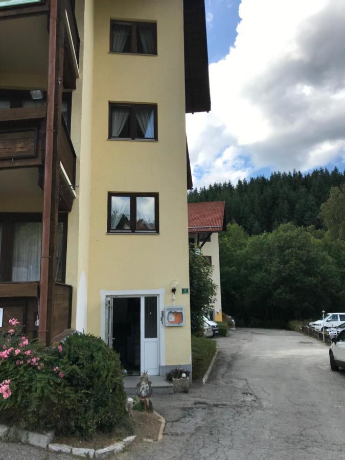 Eisenstein Apartment Bayerisch Eisenstein Ngoại thất bức ảnh